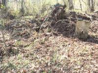 Nicholas Rickenbaker Burial Ground