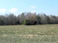 John Rickenbaker Burial Ground
