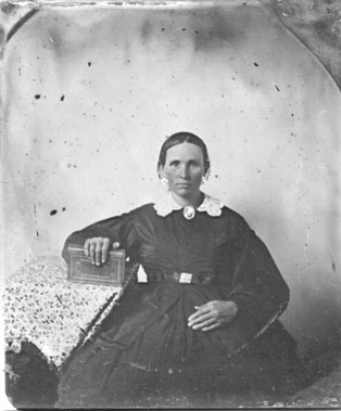 shuler1-2a.jpg (24641 bytes)