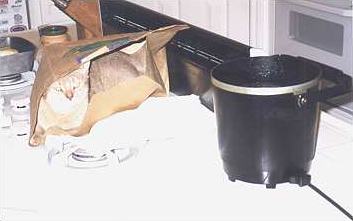 bbfish.jpg (11669 bytes)